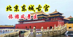 啊啊啊大鸡巴操逼视频中国北京-东城古宫旅游风景区